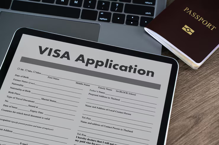 Visa Application Support